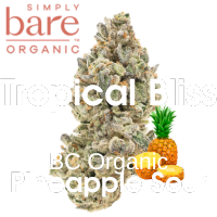 BC Organic Tropical Bliss at Truth + Alibi