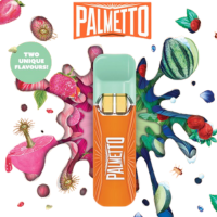 Palmetto 3 in 1 Disposable Vape Pink Burst & Melonberry at Truth + Alibi