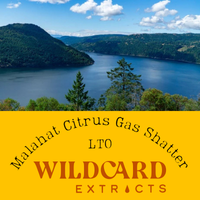 Malahat Citrus Gas Shatter at Truth + Alibi