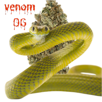 Venom OG by The Loud Plug