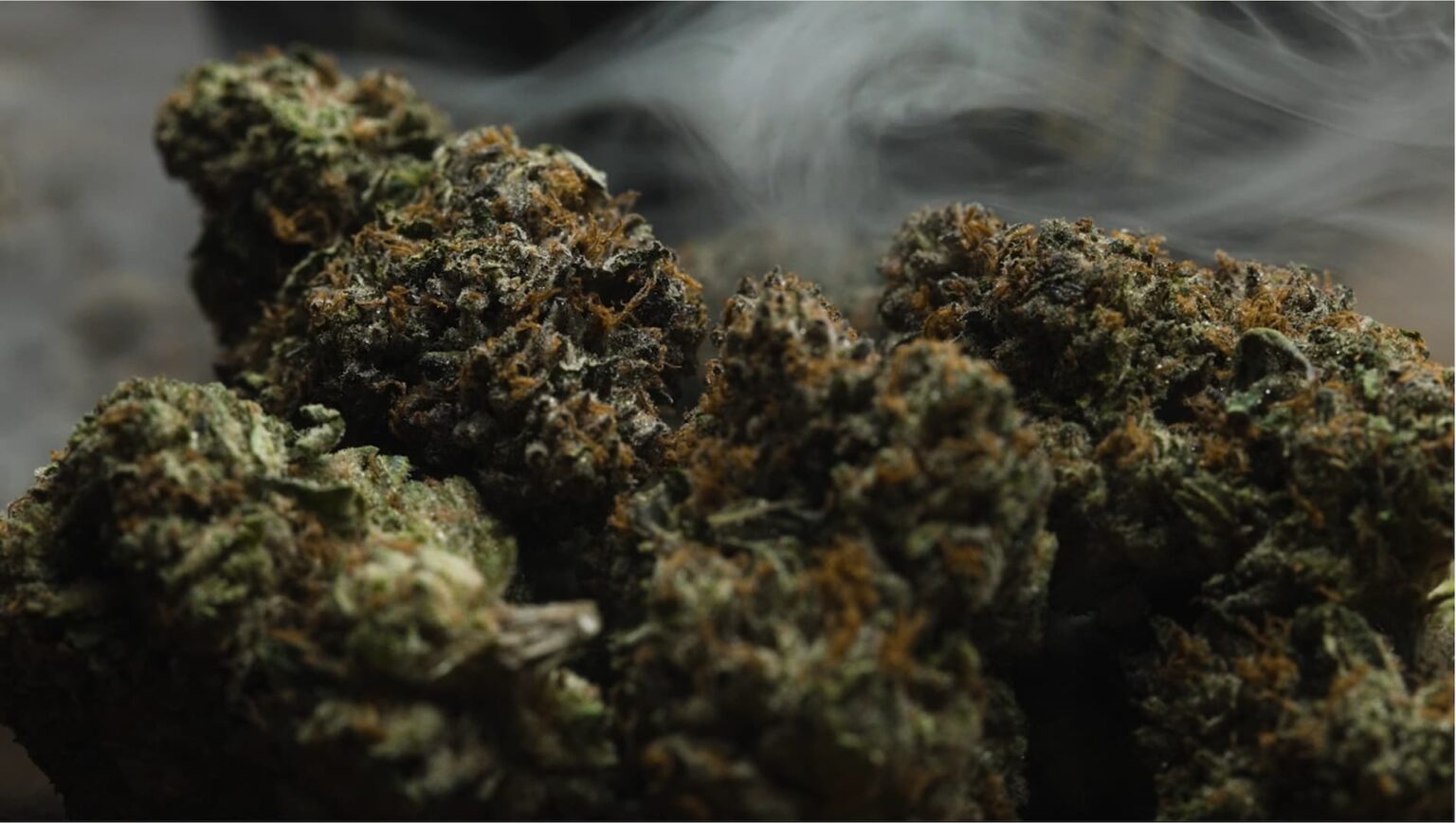 buds-1-1536×868