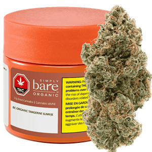 An orange jar of Tangerine Sunrise with a flower bud next to it.