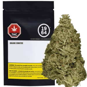 1964 – Organic Comatose –  Indica 3.5G