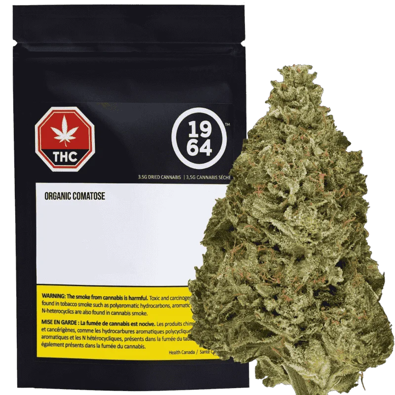 1964 – Organic Comatose –  Indica 3.5g