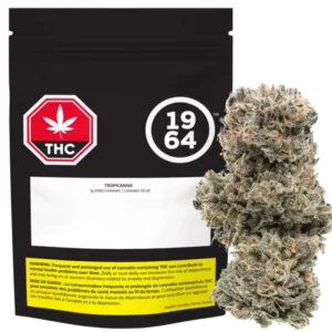 1964 – Tropicanna – 7G