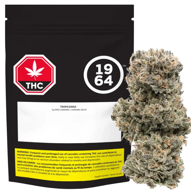 1964 – Tropicanna – 7G