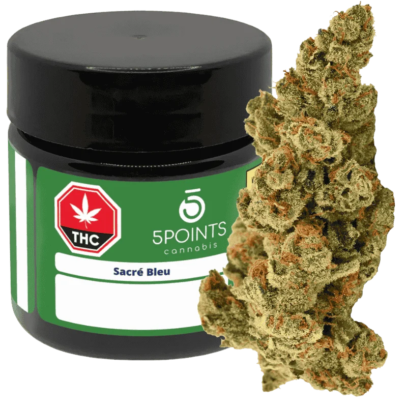 5 Points Cannabis – Sacre Bleu – 3.5G