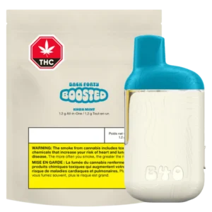 Back Forty – Kush Mint Boosted All-In-One Vape – 1.2G