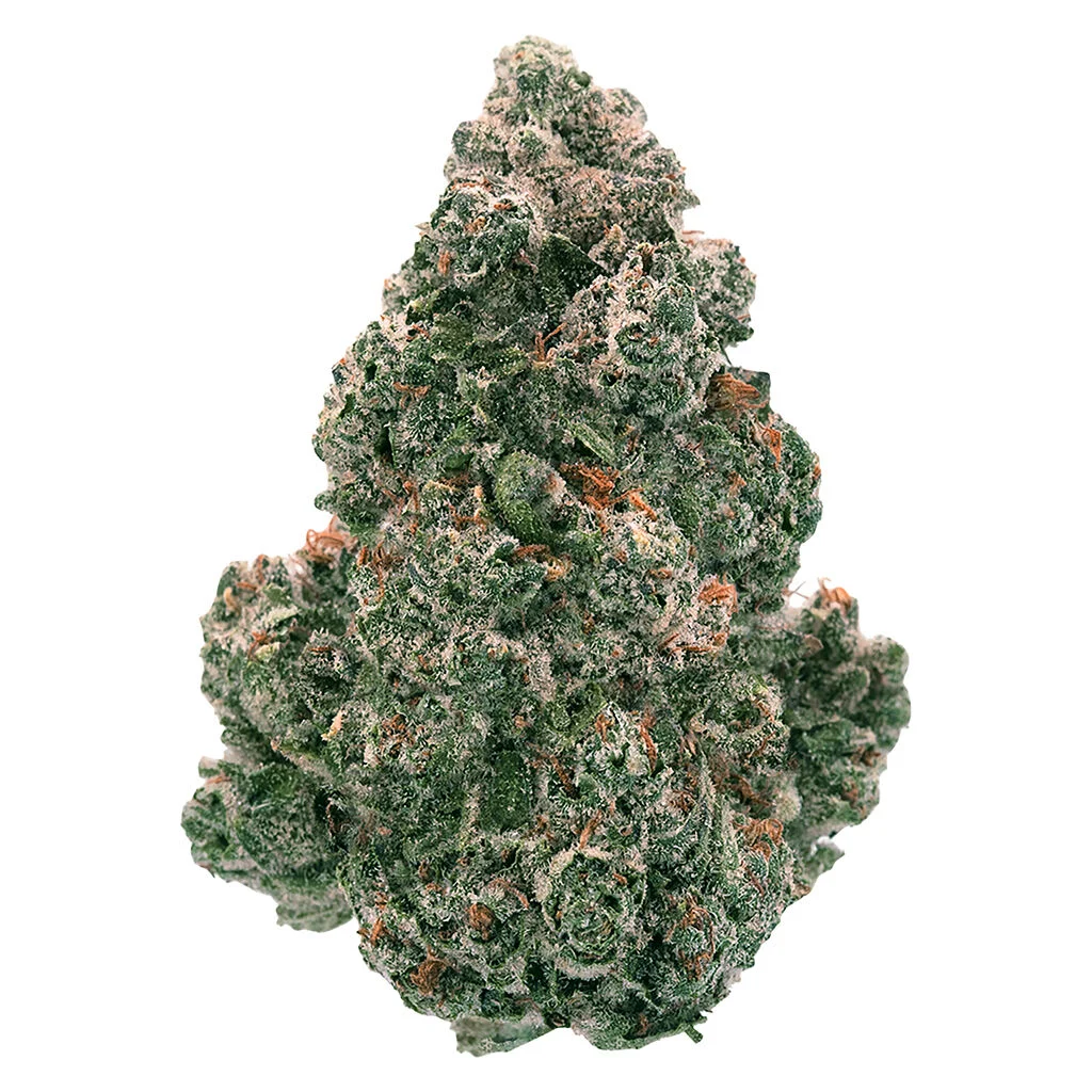 Back Forty – Liquid Imagination – 14G