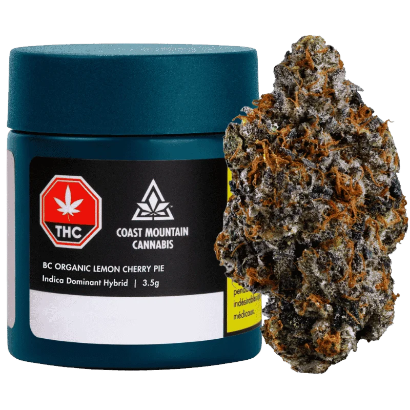 Coast Mountain Cannabis – Bc Organic Lemon Cherry Pie – 3.5G