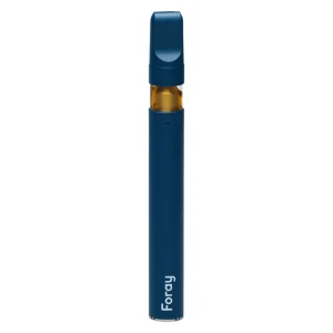 Foray – Indica Blackberry Cream Disposable Pen –  Indica 0.3G