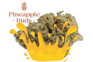 Pineapple Buds – Lemonade Gushers – 3.5G