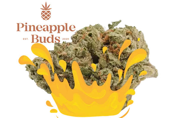 Pineapple Buds – Lemonade Gushers – 3.5G