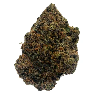 Potluck – Beaver Tail – 7G