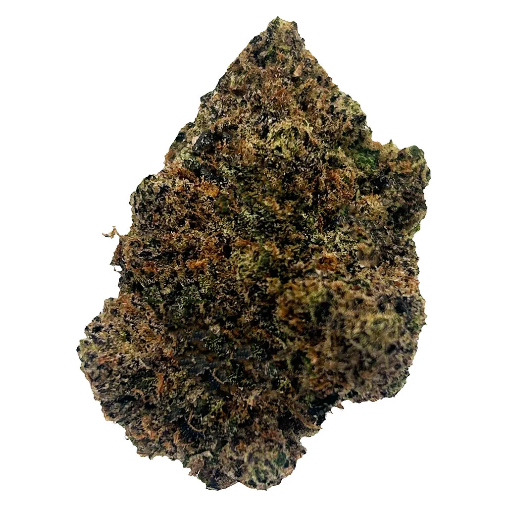 Potluck – Beaver Tail – 7G