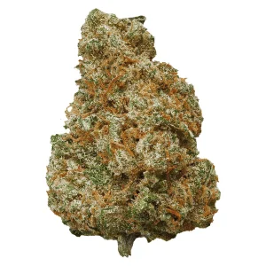 Potluck – Mango Dream – 7G