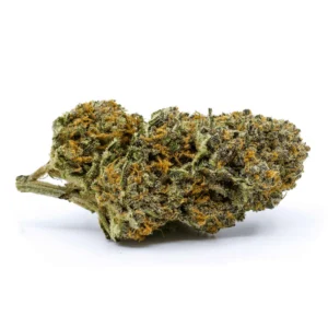Redecan – Wappa –  Indica 1G