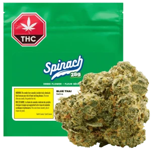 Spinach – Blue Thai #2 – 28G