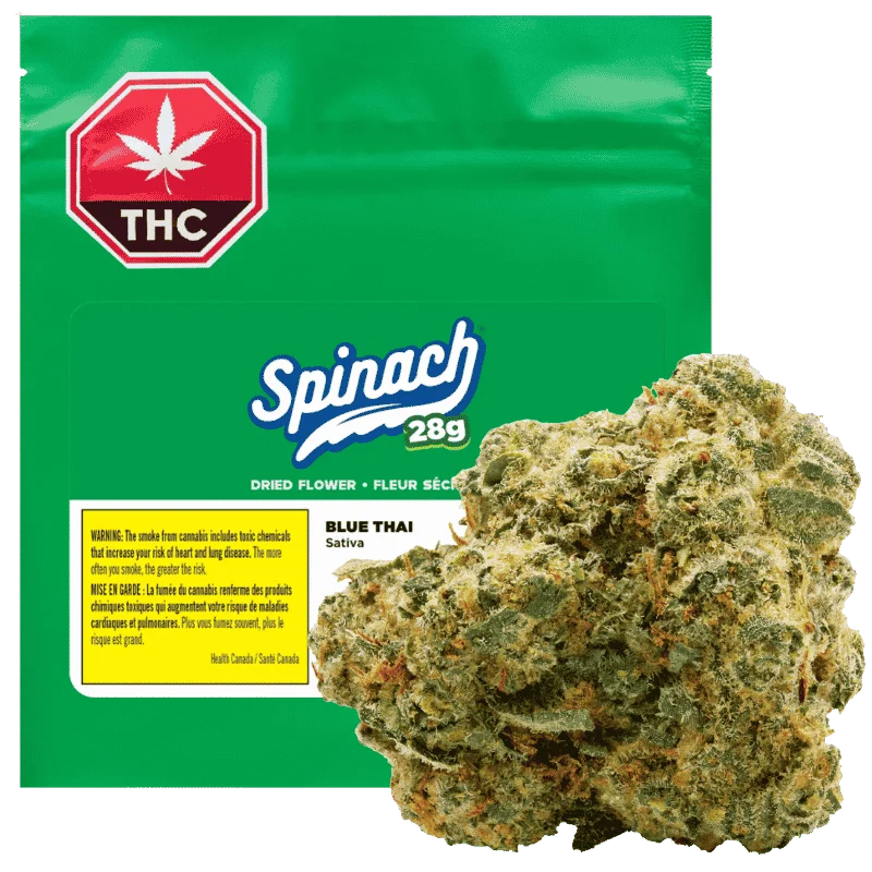 Spinach – Blue Thai #2 – 28G