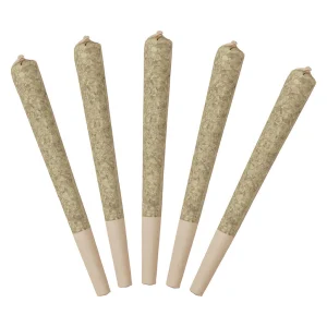 Standard Issue – Sour Raspberry Distillate Infused Pre-Rolls – 2.5G