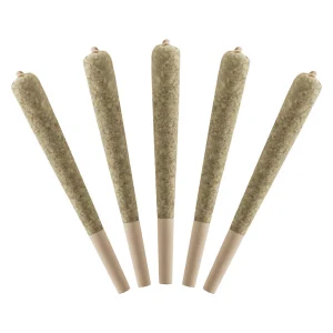 Standard Issue – Watermelon Infused Pre-Rolls – 2.5G