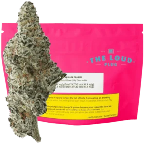 The Loud Plug – Tropicana Cookies – 28G