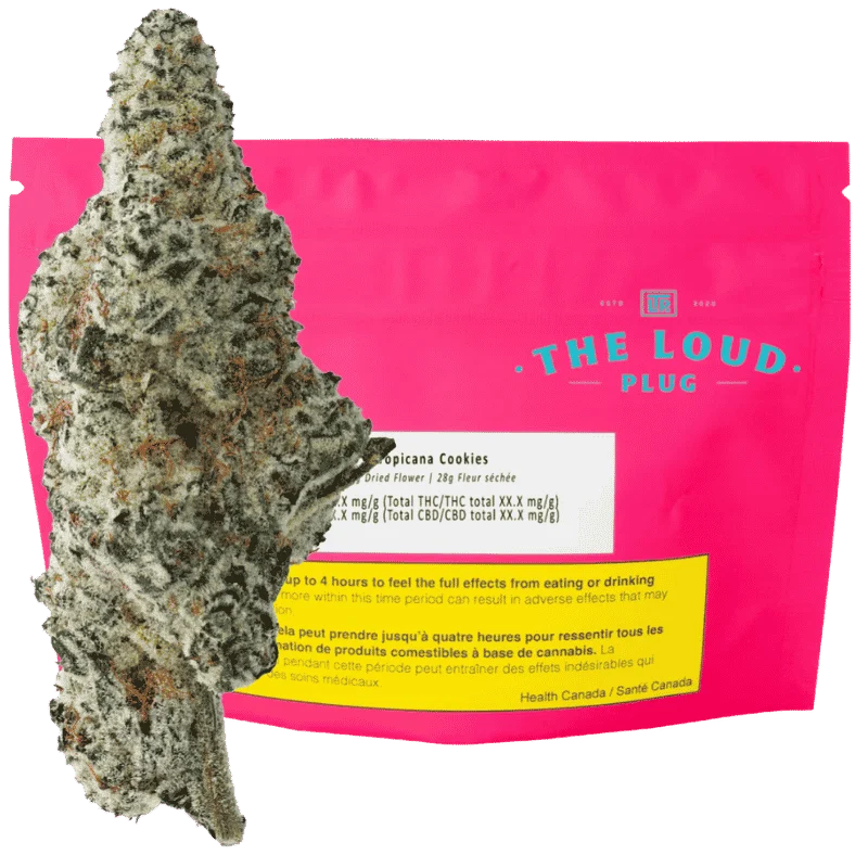 The Loud Plug – Tropicana Cookies – 28G