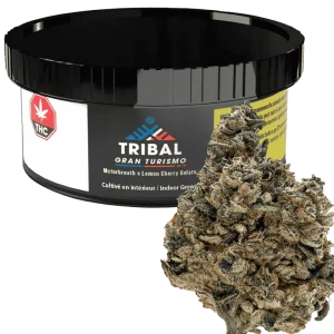 Tribal – Gran Turismo – 3.5G