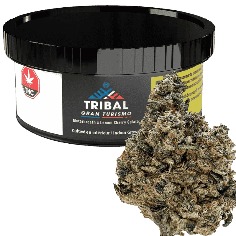 Tribal – Gran Turismo – 3.5G