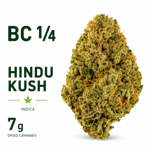 Bc 1/4 – Hindu Kush Lto – 7G