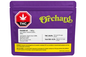 Orchard – Pucker Up Lto – 14G