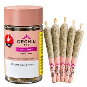 Orchid Cbd – Cbd Rntz Pre-Rolls – 2.5g