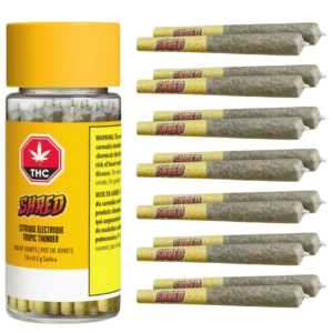 Shred – Tropic Thunder J’S Pre-Rolls –  Hybrid 7G