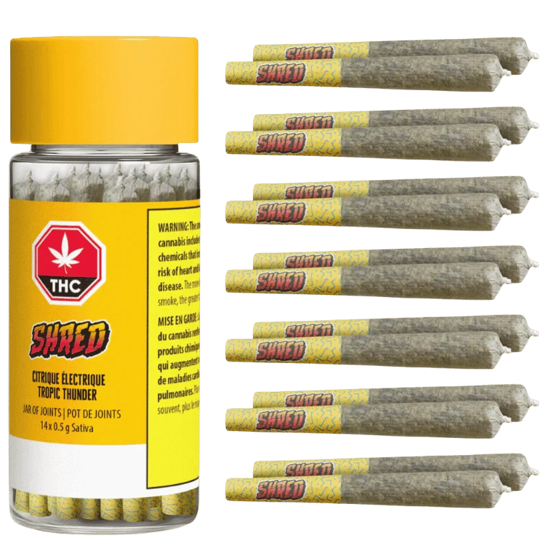 Shred – Tropic Thunder J’S Pre-Rolls –  Hybrid 7G
