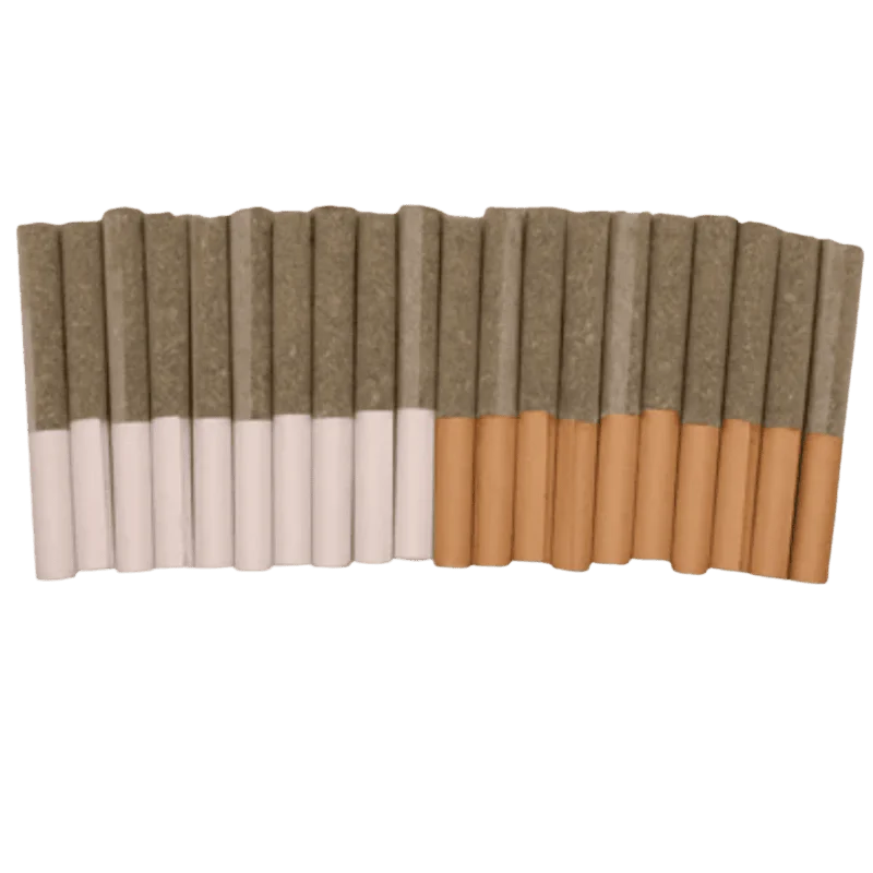 Trygg – Block Party – Dawn To Dusk Pre-Rolls – 10G