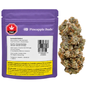 Pineapple Buds – Lemonade Gushers – 3.5g