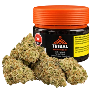 Tribal – Neon Sunshine – 14g