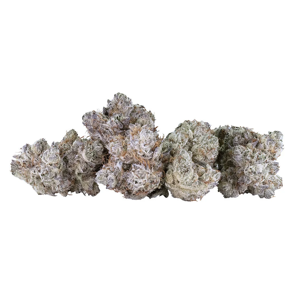 Tribal – Neon Sunshine – 14g